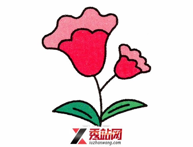 简笔画彩色鸡冠花的画法图片 -  www.kejidiy.com